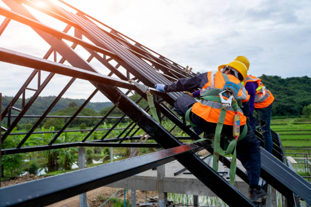 Best Roof Waterproofing Services  in Birch Run, MI