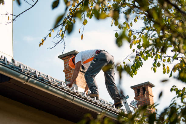 Roof Installation Near Me in Birch Run, MI