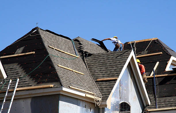 Best Residential Roofing Contractor  in Birch Run, MI