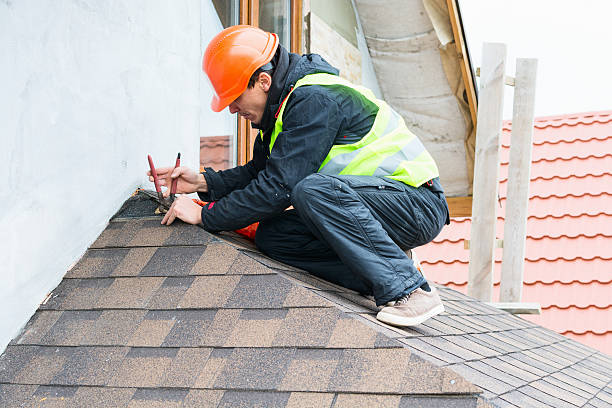 Best Gutter Installation and Roofing  in Birch Run, MI