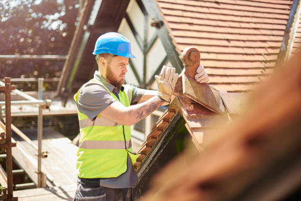 Best Storm Damage Roof Repair  in Birch Run, MI